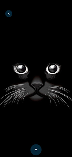 Cute Cats HD Wallpapres Screen 2