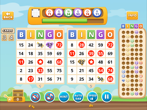 Bingo by Michigan Lottery apkdebit screenshots 8