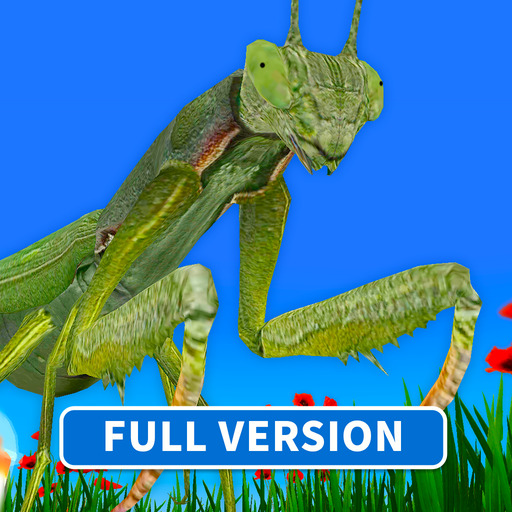Bugs & Insects (Full version) Laai af op Windows