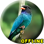Cover Image of Download Suara Burung Tengkek Buto MP3 2.0.0 APK