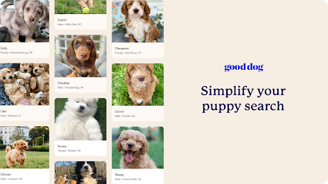 Good Dog: Find Your New Puppy poster 9