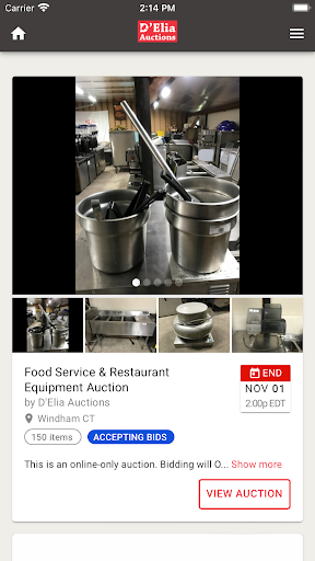 DELia Auctions Screen 3