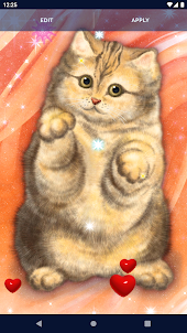 Cute Fluffy Cat Live Wallpaper