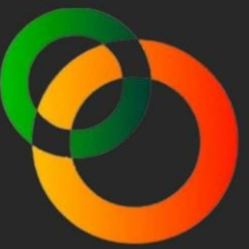 Ozi Osman logo