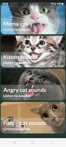 Звуки кошек!