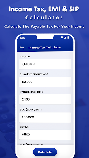 Financial Calculator-Income Ta Screen 2