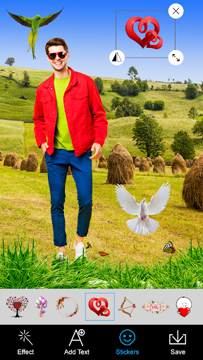 Bird Photo Editor background Screen 2