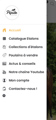Pepite Etalons Screen 2