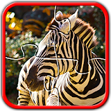 Zoo  Jigsaw Puzzles Brain Games for Kids FREE icon