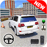 Cover Image of Download Parking Out Run: Pro Revival Parker 2020 0.8 APK