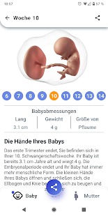 Schwangerschaft - Jede Woche Screenshot