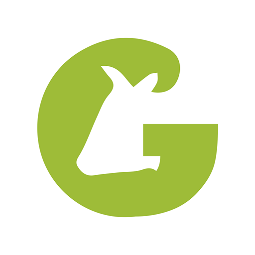 BIGCAMPO logo