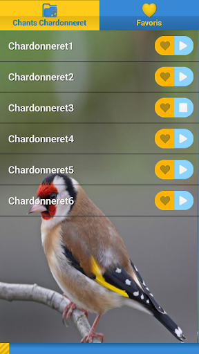 European goldfinch song Screen 2
