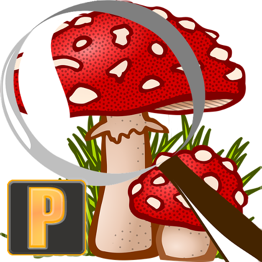 Mushroom Tracker Premium 1.34 Icon