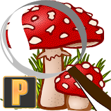 Mushroom Tracker Premium icon