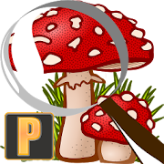 Mushroom Tracker Premium