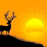 Animal Wallpapers HD