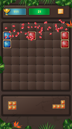Block Puzzle - Screenshot 2