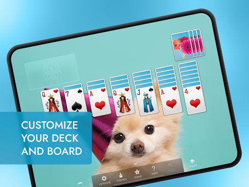 Spider Solitaire+ - Card - games