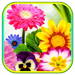Cover Image of Скачать Flower Wallpaper App 1.0 APK