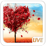 Love Tree Live wallpaper icon