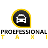 بروفيشنال تاكسي icon