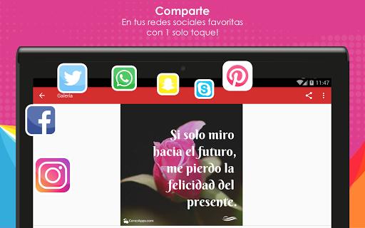 Frases Bonitas con Rosas