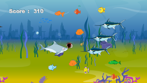 Android application Shark Feed screenshort