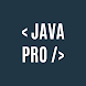 Java Pro: Quick Learn
