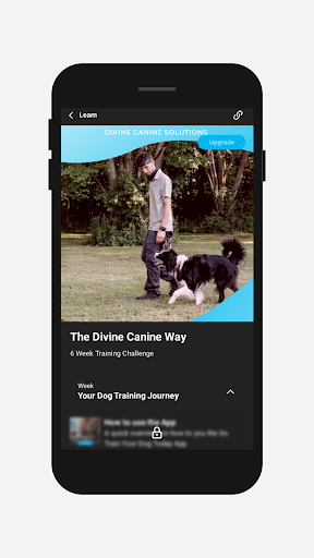Go Train Your Dog Today Screen 3