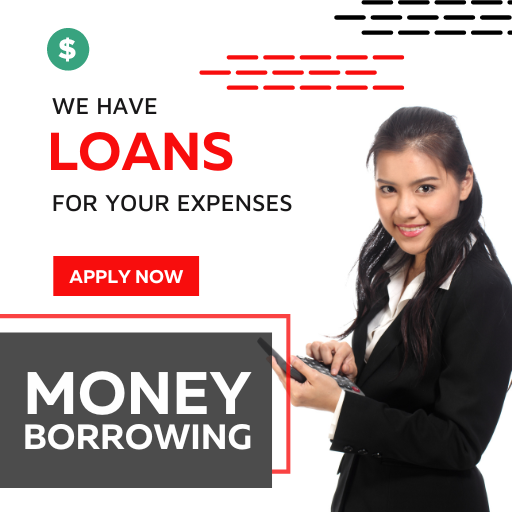 Money Borrowing logo