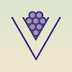Vintg: Wine Tasting Tracker