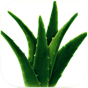 Top 38 Health & Fitness Apps Like Health Benefits Of Aloe Vera - Best Alternatives