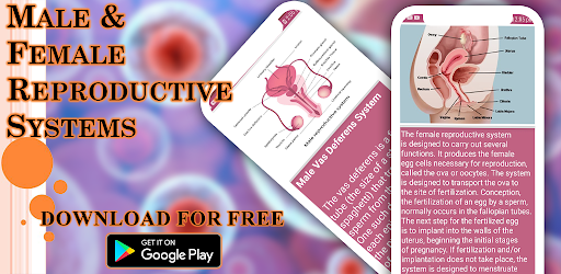 Male & Female Reproductive system Android App