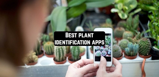 Изображения Plant Identification - Plant, Leaf, Flower на ПК с Windows