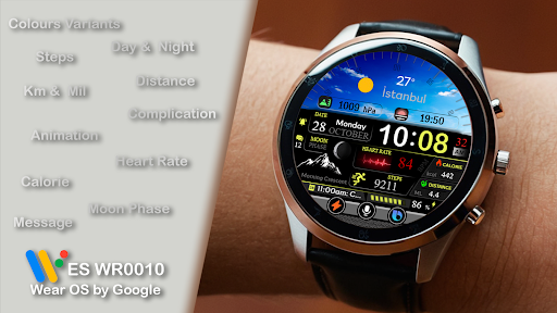 ES WR0010 screenshot 21