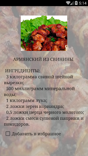 Избранные рецепты шашлыка