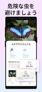 Picture Insect：撮ったら、判る-1秒昆虫図鑑