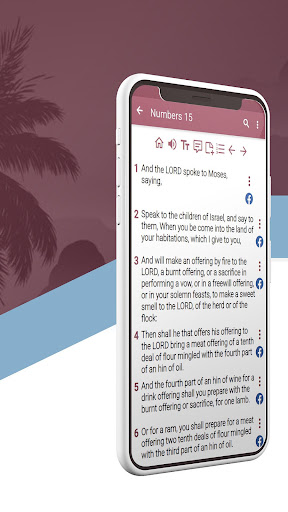 Christian American Bible Screen 2