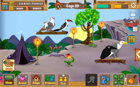 Bird Land Pet Shop Bird Games Apps on Google Play