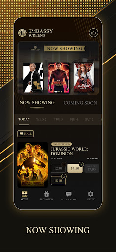 Embassy Screens Screen 2