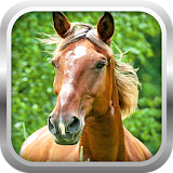 3D Horse Simulator Game Free icon