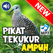 Top 40 Music & Audio Apps Like Pikat Burung Tekukur Paling Ampuh - Best Alternatives