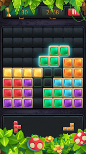 1010 Block Puzzle Game Classic