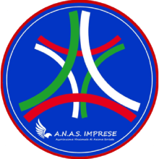 ANAS Imprese logo