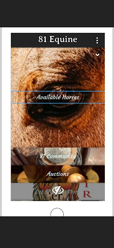 Android application 81 Equine screenshort