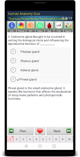 Human Anatomy Quiz Screen 2