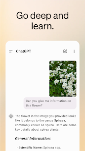 Chat GPT APP 5
