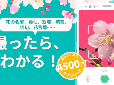 子供 名前 花言葉 681899-子�� 名前 花言葉