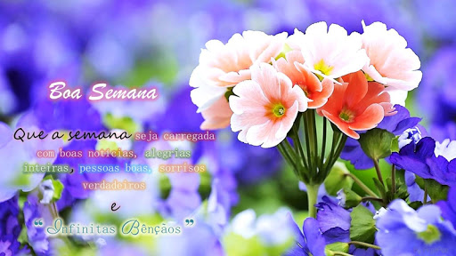 Good Morning Afternoon  Goodni Screenshot 1 - AppWisp.com